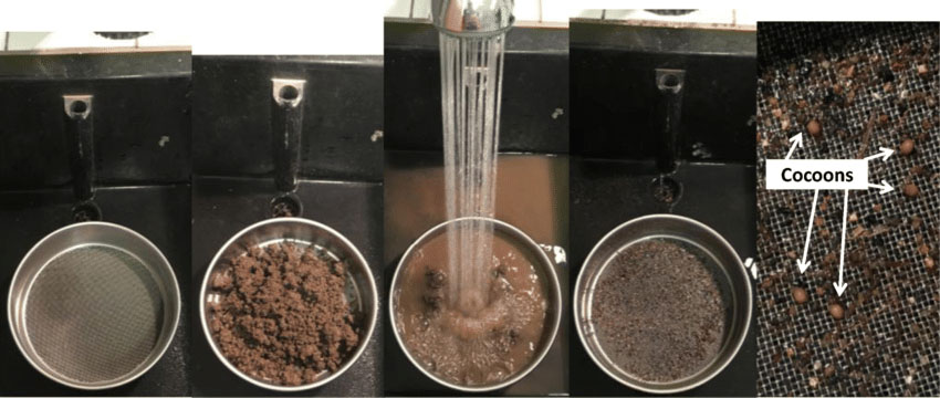 How do you perform wet sieving?